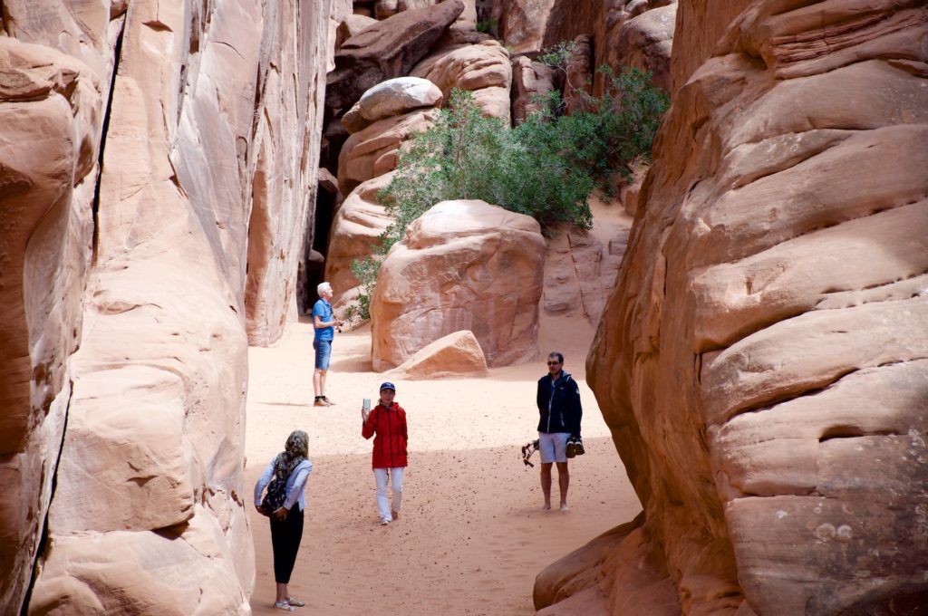 Arches National Park